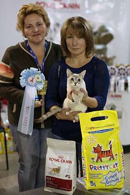 �������� ����� 22-23 ������ 2014 WCF-����� 9-139-169A8068 copy.jpg